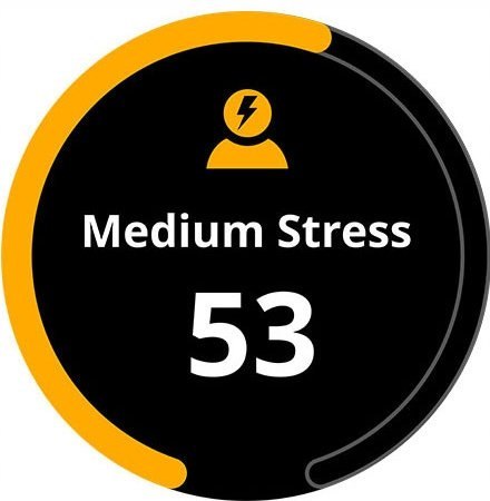 Zegarek sportowy Garmin Vivoactive 3 Music czarny