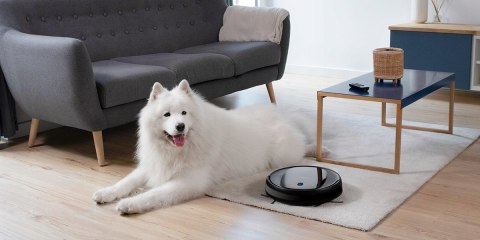 Robot sprzątający Cecotec 2290 Ultra Home T czarny