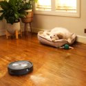 Robot sprzątający iRobot Roomba J7+ czarny