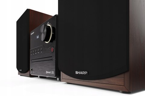 Wieża stereo Sharp XL-B512BR