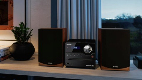Wieża stereo Sharp XL-B512BR
