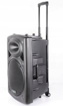 Głośnik przenośny Ibiza Sound PORT15UHF-BT czarny 800 W