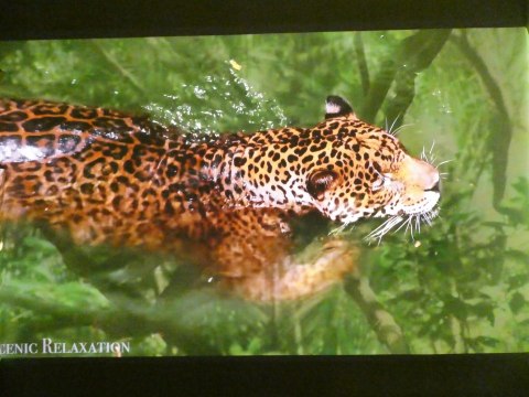 HISENSE 100L5F-B12 PROJEKTOR LASEROWY 4K OKAZJA !