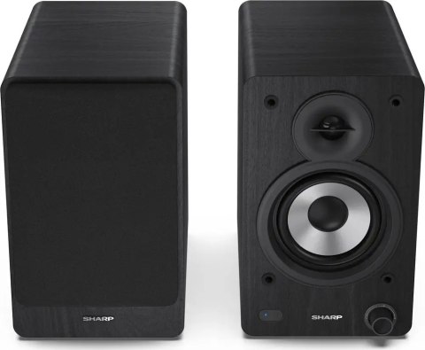 Głośniki regałowe Sharp CP-SS30BK 60 W czarne para