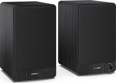 Głośniki regałowe Sharp CP-SS30BK 60 W czarne para