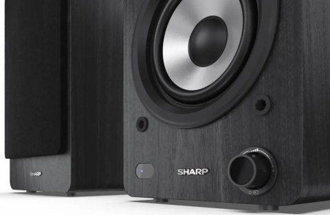 Głośniki regałowe Sharp CP-SS30BK 60 W czarne para