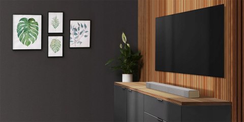 Soundbar LG LG DSP2W 2.1 100 W czarny