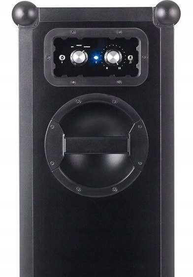 Kolumna SOUNDBOKS 2 140 W czarny