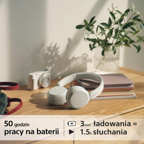 Słuchawki bezprzewodowe nauszne Sony WH-CH520