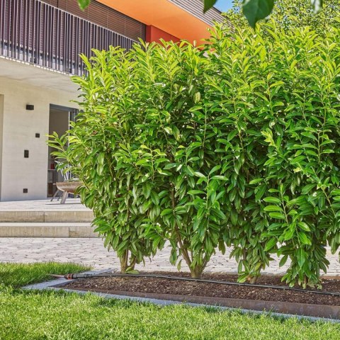 Linia kroplująca do rzędów roślin GARDENA 13500-20 25m