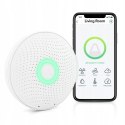 Airthings 2930 Wave Plus Inteligentny Detektor