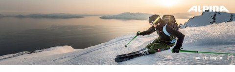 Ochraniacz Na tułów Alpina PROSHIELD MEN VEST L