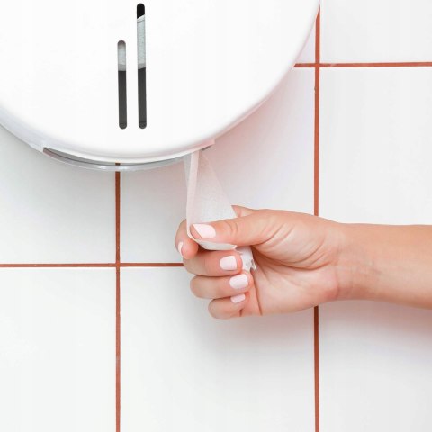 Papier suchy bezzapachowy AmazonCommercial 12 szt.