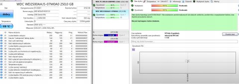 Dysk twardy Western Digital Caviar Blue WD2500AAJS 250GB SATA II 3,5"