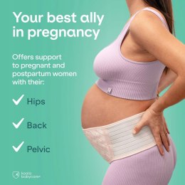 Koala Babycare - Pas podtrzymujący ciążę na pośladki i plecy
