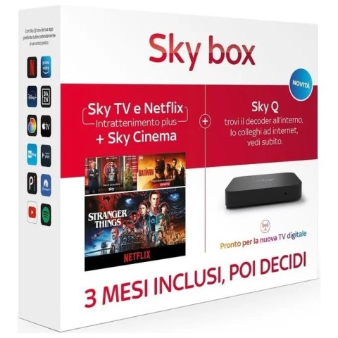 Dekoder analogowy Sky Q
