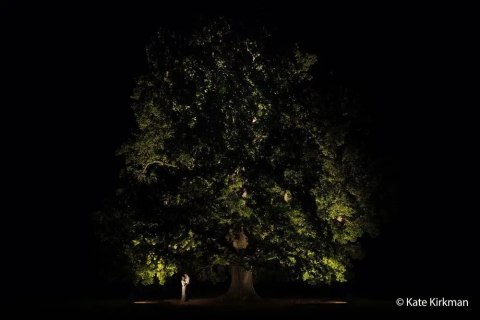 Lampa błyskowa Sony HVL-F46RM