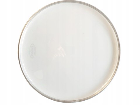 Naciąg 16 '' Evans B16G2