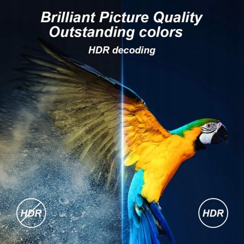 H20PRO Smart Android TV Box Android 10 2 GB 16 GB 6K