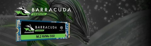Dysk SSD Seagate BarraCuda 510 250 GB M.2 2280 PCI-E x4 (ZP250CM3A001)