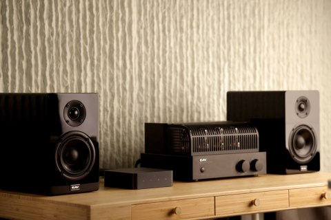 Odtwarzacz sieciowy WiiM Pro Plus