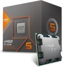Procesor AMD Ryzen 5 8600G 6 x 4,3 GHz gen. 1