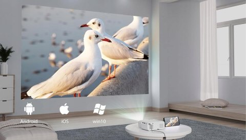 Projektor LED Jimveo C11 biały