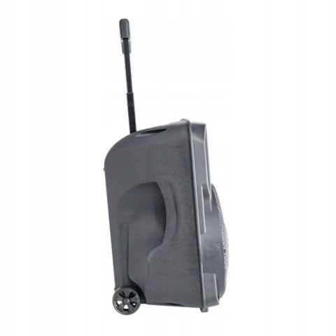 Kolumna Party Light&Sound PARTY-10RGB 200 W czarny