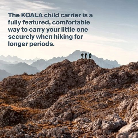 NA8 nosidełko Salewa Koala II 1235-3420