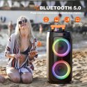 HWWR Karaoke Zestaw Bluetooth Z Dwoma Mikrofonami I Światłem Disco