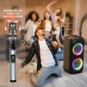 HWWR Karaoke Zestaw Bluetooth Z Dwoma Mikrofonami I Światłem Disco