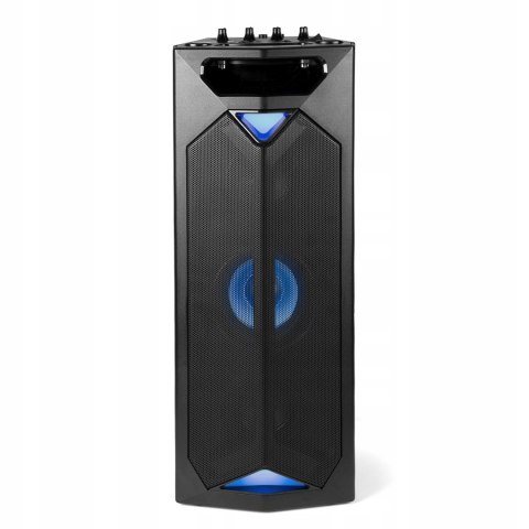 Głośnik przenośny Blaupunkt PS 500 Bluetooth Czarny 40 W Radio FM Bluetooth