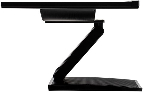 Monitor LED iiyama T2454MSC-B1AG 24 " 1920 x 1080 px IPS / PLS