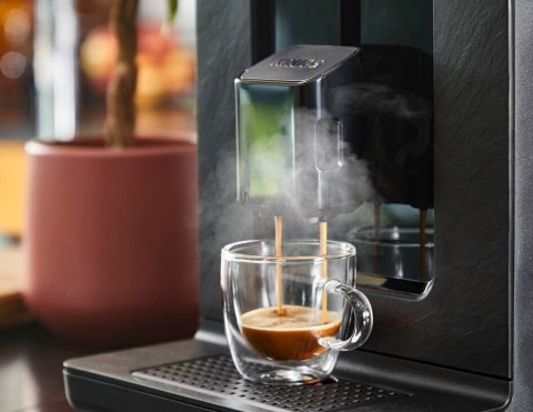 Automatyczny ekspres ciśnieniowy Krups Evidence Eco-Design EA897B10 1450 W