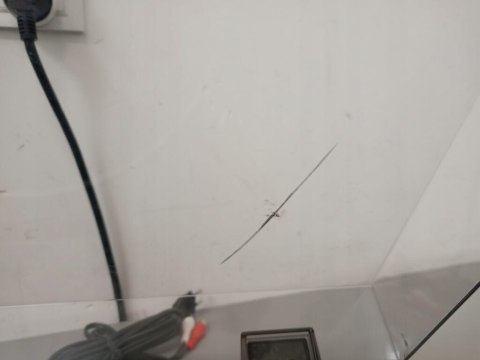 Denon DP-300F gramofon automatyczny analogowy 33 1/3 RPM 45 RPM czarny