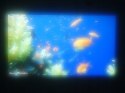Projektor Full HD BenQ TH683 biały 3200 ANSI