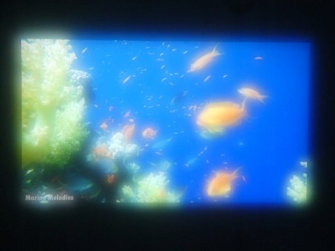 Projektor Full HD BenQ TH683 biały 3200 ANSI