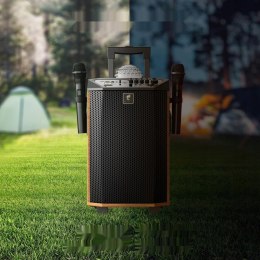 Przenośny głośnik Bluetooth TONOR z 2 mikrofonami, system PA, brązowy.