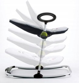 Beaba 912111 Kołyska dla Dzieci, Czarny/Szary, Do 9 kg