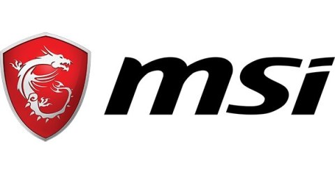 Monitor LED MSI G2422C 23,8 " 1920 x 1080 px IPS / PLS