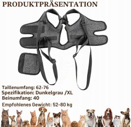 Regulowane podparcie tylnej nogi rannych lub starszych psów (XL)