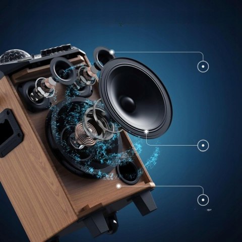 Głośnik PA Tonor K20 Bezprzewodowa Maszyna Karaoke LED 2 Mikrofony BT AUX