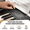 Keyboard Alesis MELODY61MK4XUS