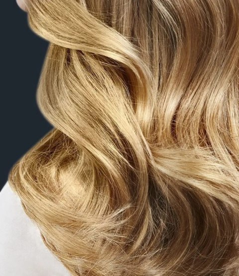 Suszarka do włosów Rowenta Pro Expert CV8830F0