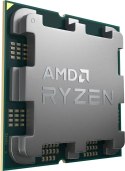 Procesor AMD Ryzen 7 7700X, 4.5 GHz, 32 MB, BOX (100-100000591WOF)