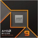 Procesor AMD Ryzen 9 9900X BOX (100-100000662WOF)
