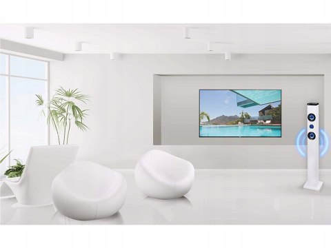 WIEŻA TREVI XT 101 BT AUX USB WHITE OKAZJA HIT!