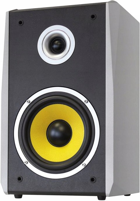 KOLUMNY DYNAVOX TG-1000B-E SILVER OKAZJA HIT!