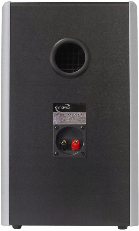 KOLUMNY DYNAVOX TG-1000B-E SILVER OKAZJA HIT!