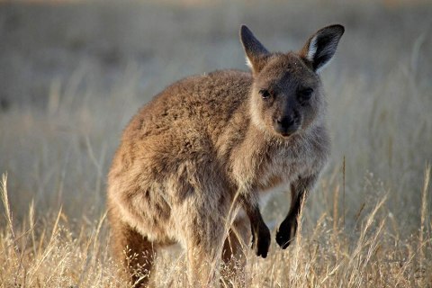 Obiektyw TAMRON 70-300mm 4-5.6 GW FV MEGA OKAZJA!